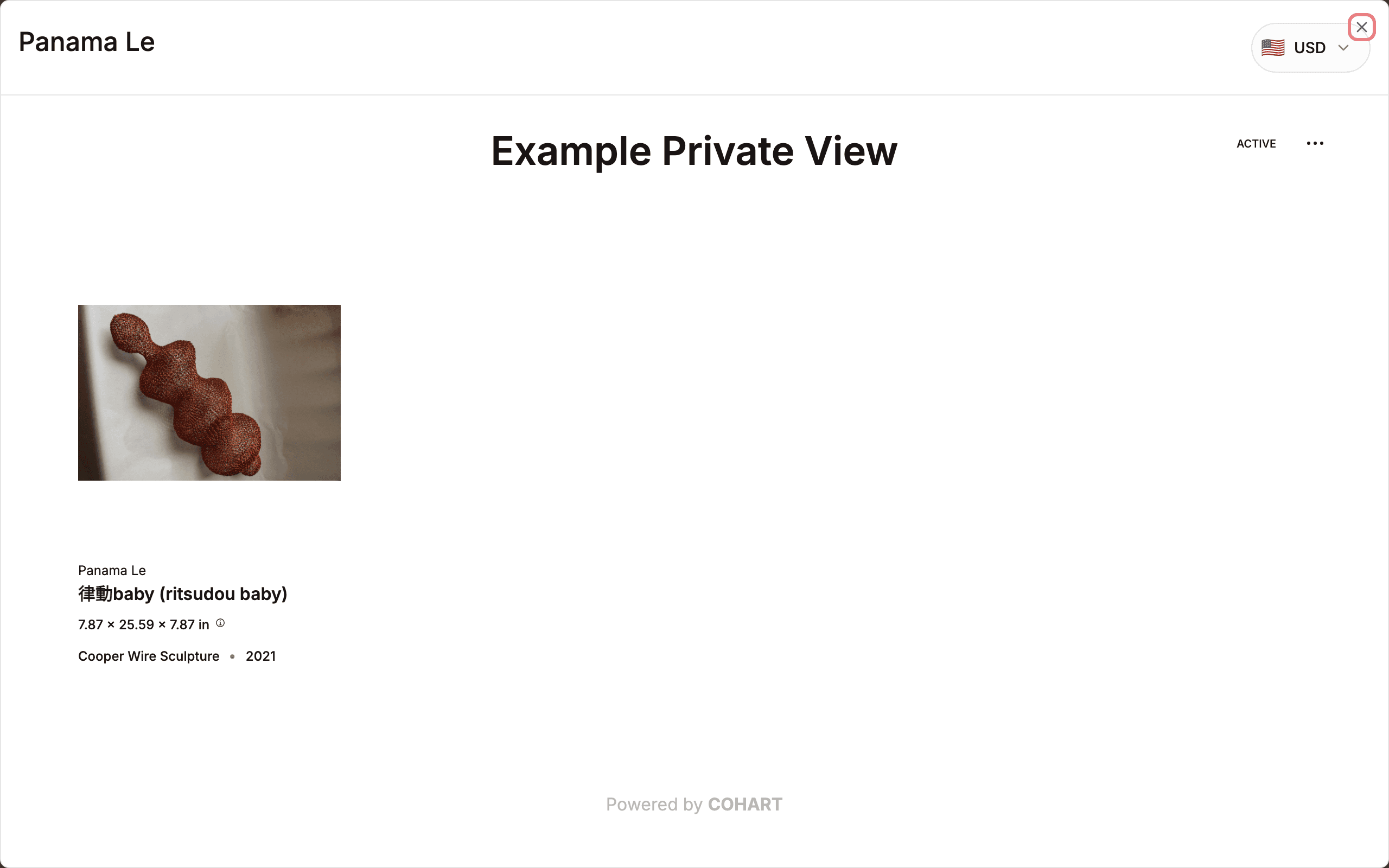 Preview the private view then close